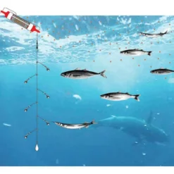 Black Magic Berley Buddy Rigged -Cheap bags Store black magic berley buddy rigged 3