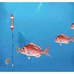 Black Magic Berley Buddy Rigged -Cheap bags Store black magic berley buddy rigged 4