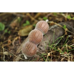 Mivardi PVA Supramesh Refill Feeder 7 M -Cheap bags Store mivardi pva supramesh refill feeder 7 m 5